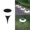 White light 1PC